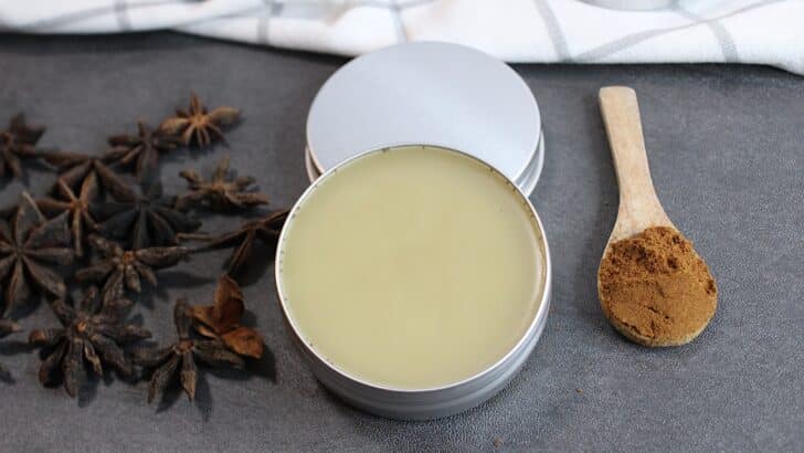 Star anise salve in a tin with a wooden spoon and whole spices nearby.